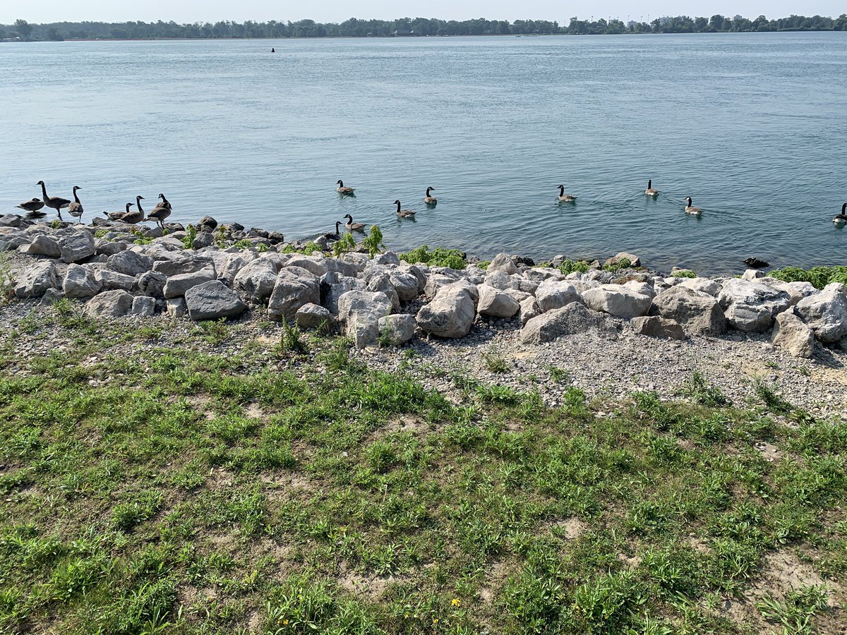 canadian ambassadors