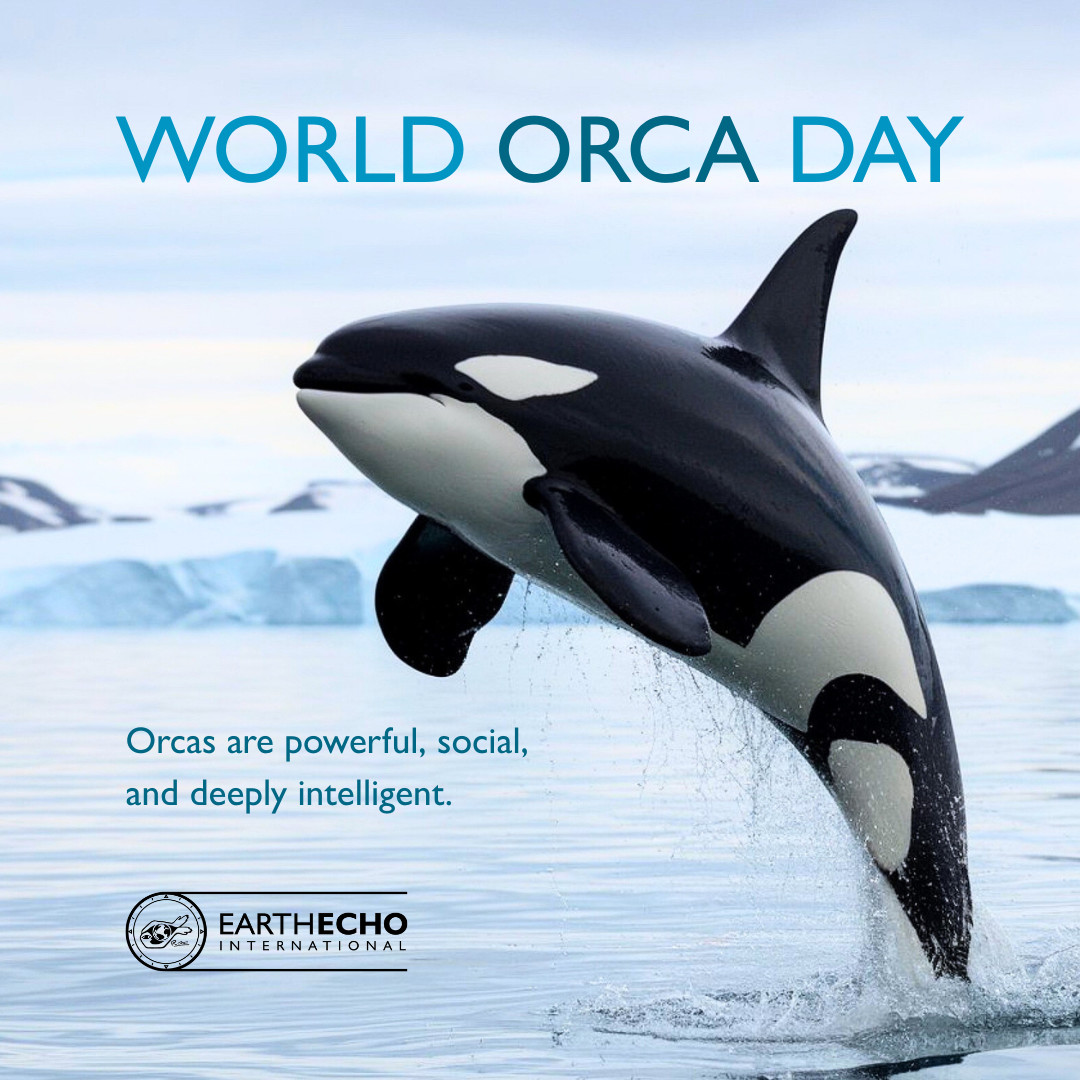 EarthEcho Int'l tweet media