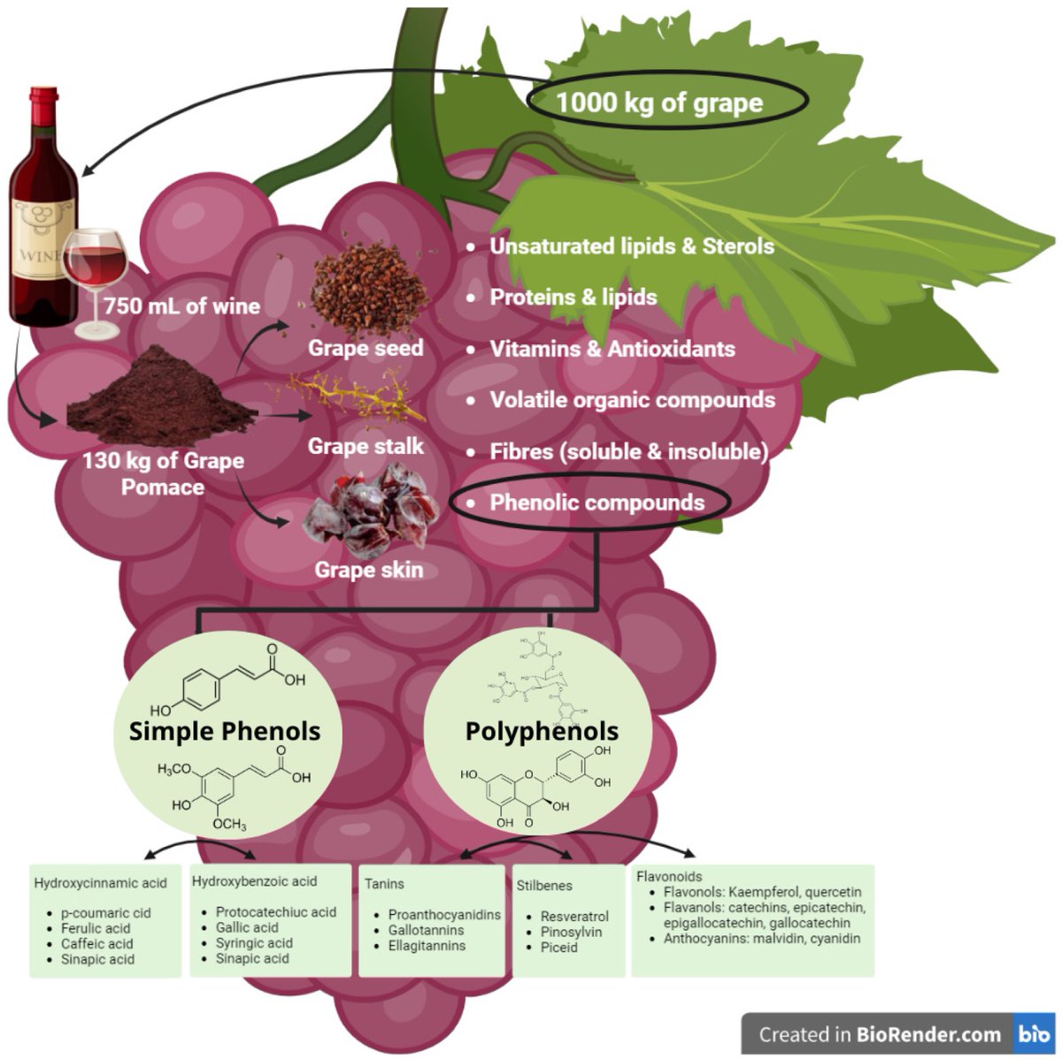 #mdpibeverages Read the High-Cited Paper! 
Grape Pomace as a Renewable Natural Biosource of Value-Added Compounds with Potential Food Industrial Applications
brnw.ch/21wU896
<a href="/MDPIOpenAccess/">MDPI</a> <a href="/MDPIbio/">MDPI BiologyLifeSci</a> <a href="/Scilit_/">Scilit</a>
#beverages #drinks #GrapePomace #ValueAddedCompounds #grape