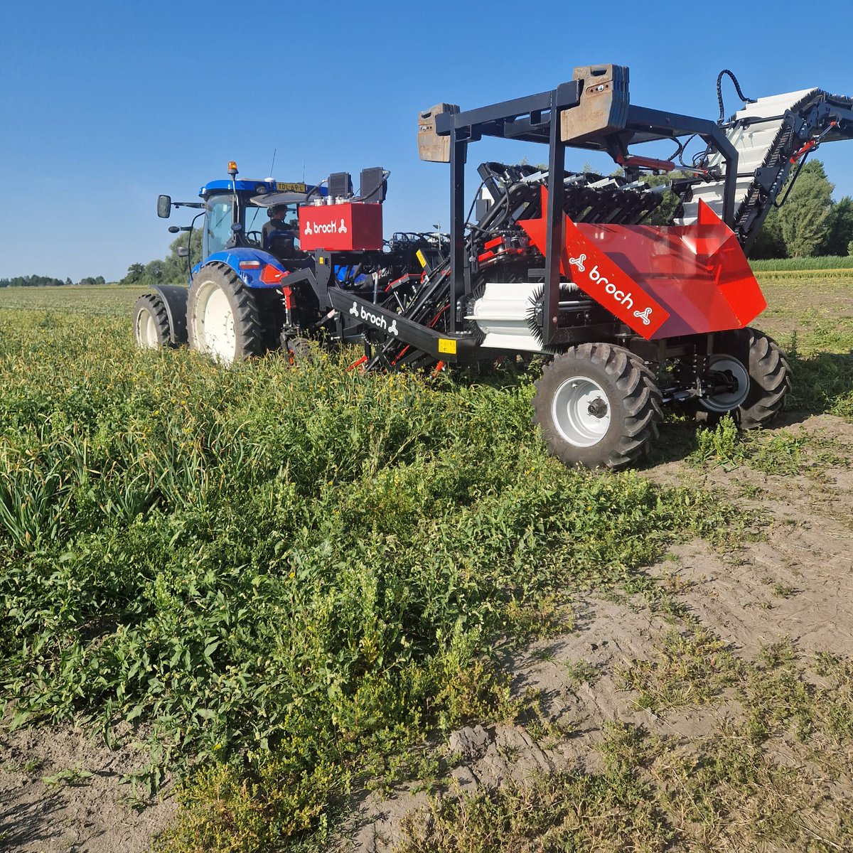 kramerstart's tweet image. De knoflookoogst is begonnen, en het gaat goed onder mooie omstandigheden. Uiteraard met machines van JJ BROCH. 🧄