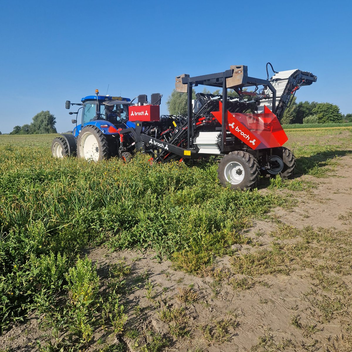 kramerstart's tweet image. De knoflookoogst is begonnen, en het gaat goed onder mooie omstandigheden. Uiteraard met machines van JJ BROCH. 🧄