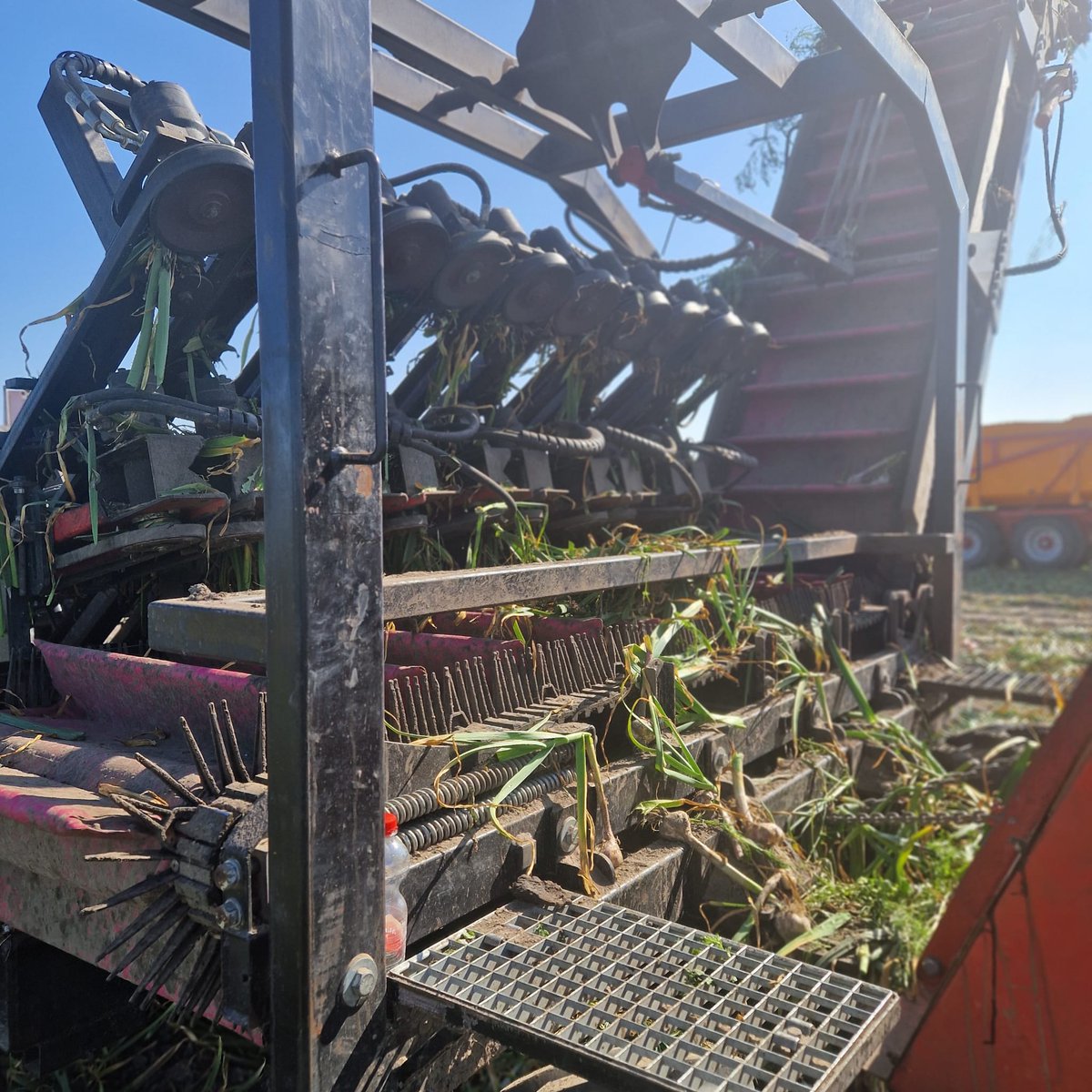 kramerstart's tweet image. De knoflookoogst is begonnen, en het gaat goed onder mooie omstandigheden. Uiteraard met machines van JJ BROCH. 🧄