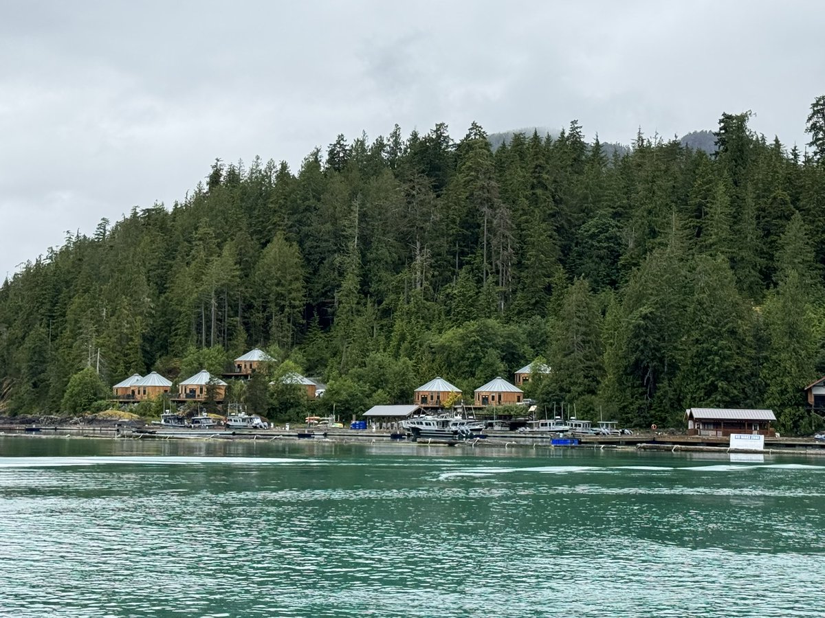 James Ross tweet media