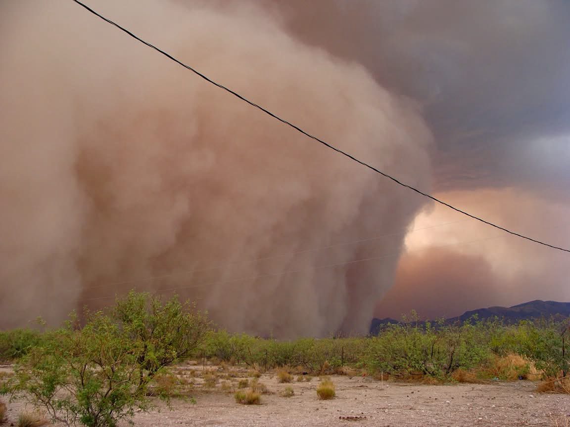 SierraVistaLIVE's tweet image. 😵💫 the haboob rolling into Cochise County from along Highway 80 in New Mexico Sunday evening.
📷Keith Rogan