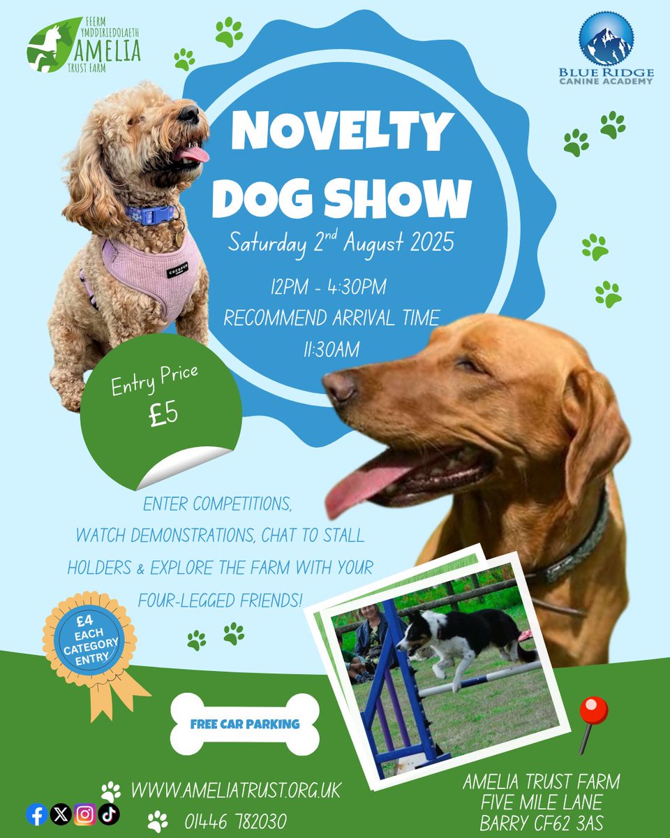 Get ready for paws, applause, and a whole lot of tail wagging!🐶

Don’t miss out on Amelia Trust Farm’s annual Dog Show in partnership with Blue Ridge Canine Academy ⭐️
Bring the whole family for a day of furry fun!😍

Book your tickets now!
buytickets.at/ameliatrustfar…