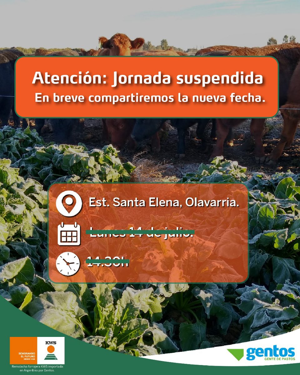 Ignacio Avila tweet media