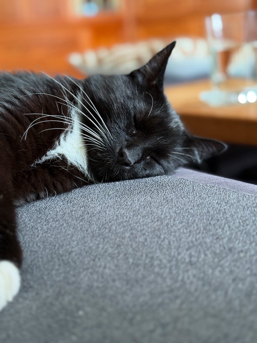 🐱💤 Schnuffelpuff müde.