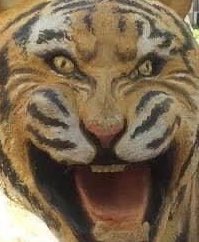 gxzppl's tweet image. MY BALLS ARE ALREADY STICKED FROM THIS FUCKING HEAT.