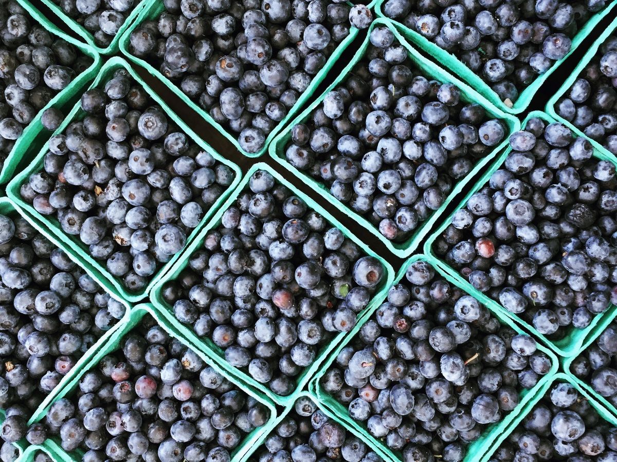 AdventureKitche's tweet image. Summery recipes for sumac and sage - mailchi.mp/adventurekitch…