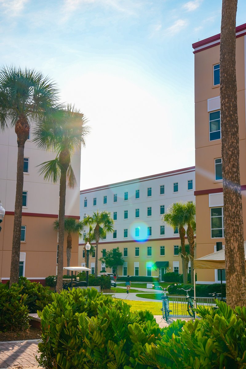 The hype begins... we're ONE MONTH away from move-in! 💙💚 #fgcu