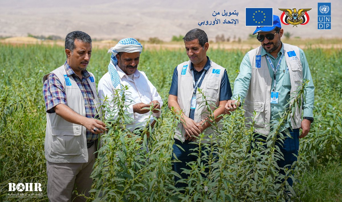 يوم حقلي بمحافظة #مأرب احتفاء بحصاد محصول #السمسم 🌾
بدعم من <a href="/EUinYemen/">EUinYemen</a> وبالشراكة مع <a href="/UNDPYemen/">UNDP Yemen</a> وضمن أنشطة مشروع #سيري "مكون تعزيز سلسلة القيمة لمحصول السمسم" نظمنا بالتعاون مع السلطة المحلية يوماً حقليا احتفاء بحصاد محصول السمسم، بحضور وكيل المحافظة الدكتور عبدربه مفتاح.
يقدم