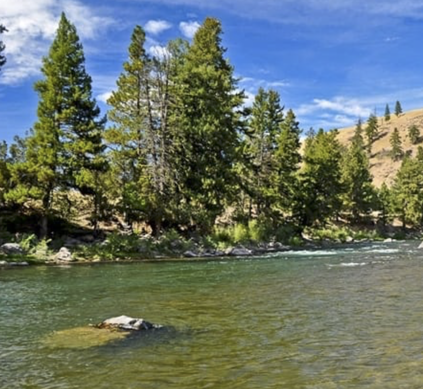 theSOURCE406's tweet photo. 🎣 BREAKING: The #MontaneMessenger X- Posting Dept is officially closed until 3PM Today. Why? Because we’re fishing a classified honey hole that never misses. Ever.
If you need us before then, grab a rod or zip it. #Missoula
#Rodsbent. #Spiritshigh. #FindMySpotIfYouDare https://t.co/ovaGFTTz7K