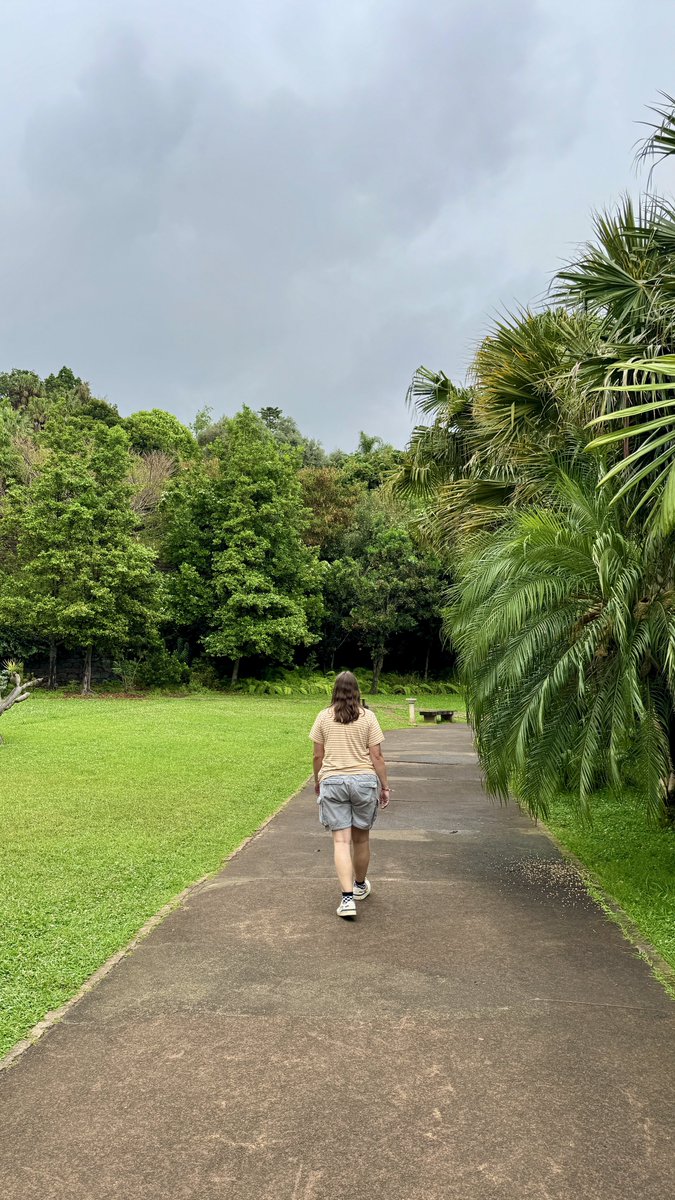 beauregvrd's tweet image. madeira, you were absolutely beautiful