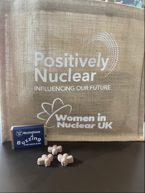 WECNuclear's tweet image. Westinghouse is a gold sponsor at this week's @WiNglobal event in London, with 25+ Westinghouse women from more than five countries in attendance. Visit our exhibition on the Plaza floor to learn more and and grab some wildflower seeds!