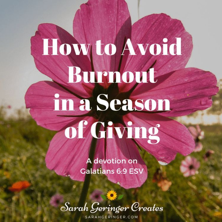 SarahLynneCR's tweet image. Our seasons of perseverance always precede seasons of harvest. #persevere #spiritualgrowth #encouragement Listen/read here: buff.ly/jkpejjp