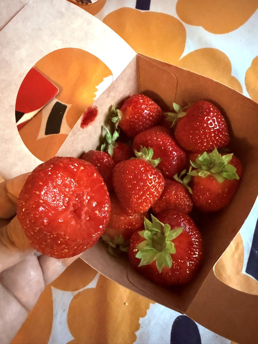 Asakikiki's tweet image. ノルウェー夏の贅沢スイーツ。太陽の光をいっぱい浴びて育った、甘いノルウェーイチゴ🍓の時期がやってまいりました
