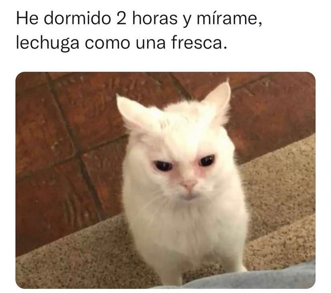 virginiagarzaB's tweet image. Mi lunes en una imagen