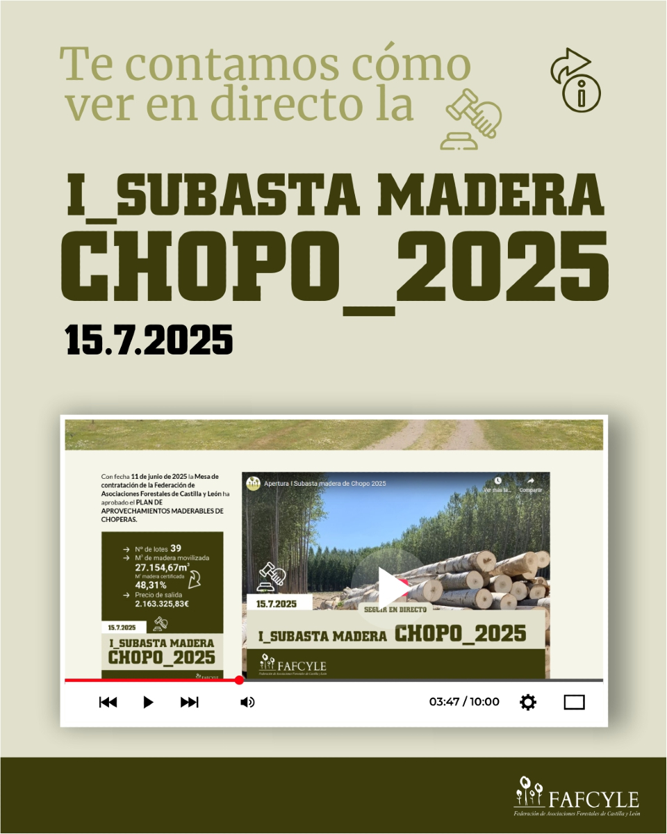 fafcyle's tweet image. Sigue en directo mañana en nuestra web fafcyle.es la I Subasta de madera de Chopo 2025
Y recuerda que tienes toda la ℹ️de la subasta en: fafcyle.es/subastas-de-ch…