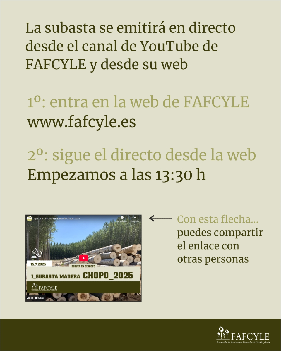fafcyle's tweet image. Sigue en directo mañana en nuestra web fafcyle.es la I Subasta de madera de Chopo 2025
Y recuerda que tienes toda la ℹ️de la subasta en: fafcyle.es/subastas-de-ch…