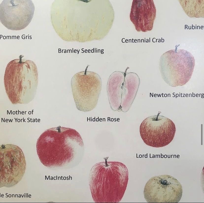 ♡ (@heart_jpg) on Twitter photo 