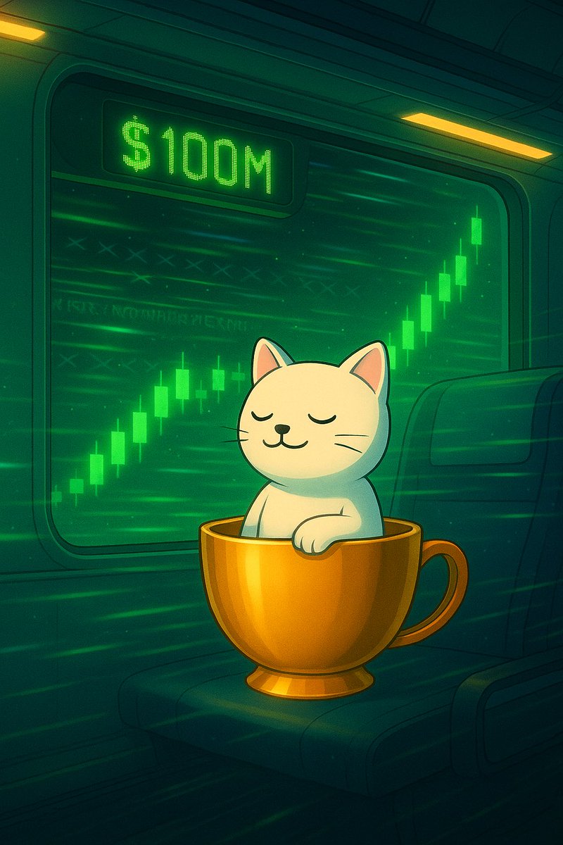 Gm 🐱