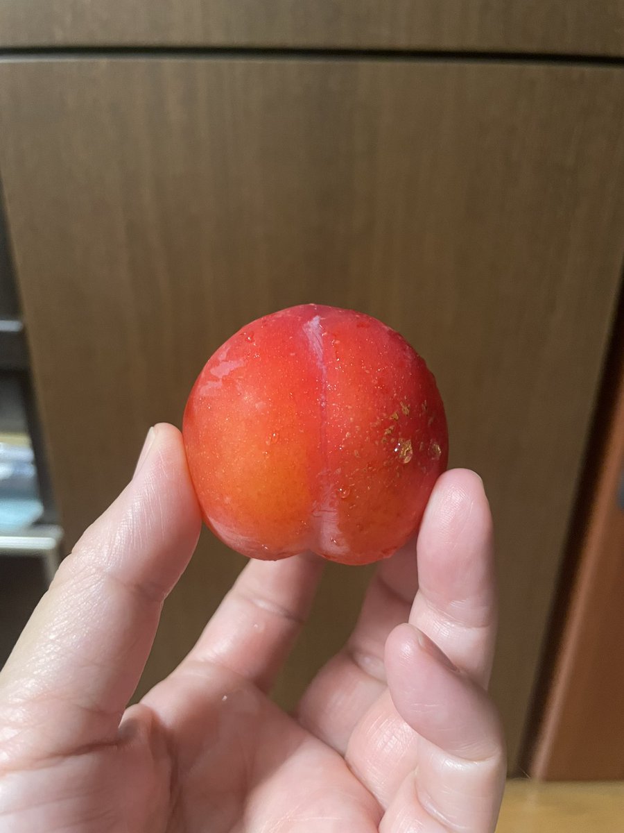 Perry_zo's tweet image. こないだ見かけて衝動買いしてきたすもも。すもも食べるの子供の頃ぶりだな〜やっぱり美味しいな🤤