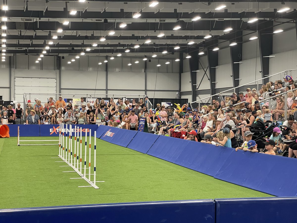 Looking for some aggie fun with the fam this week? Visit the AgVenture Pavilion at <a href="/WesternerDays/">Westerner Days</a>! Enjoy hands-on farm activities, meet friendly animals, and explore Alberta’s rich agricultural roots. Perfect for guests of all ages! #WesternerDays #AgriTrade #RedDeer #CentralAB