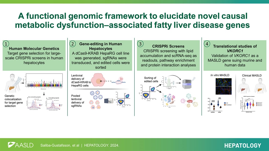 DDWMeeting's tweet image. From our July newsletter: complementary genetic and genomic approaches found to be useful for the identification of #MASLD genes. Read more via @AASLDtweets journal: ow.ly/sbjj50Wm0iC
#LiverTwitter @LiverFellow
