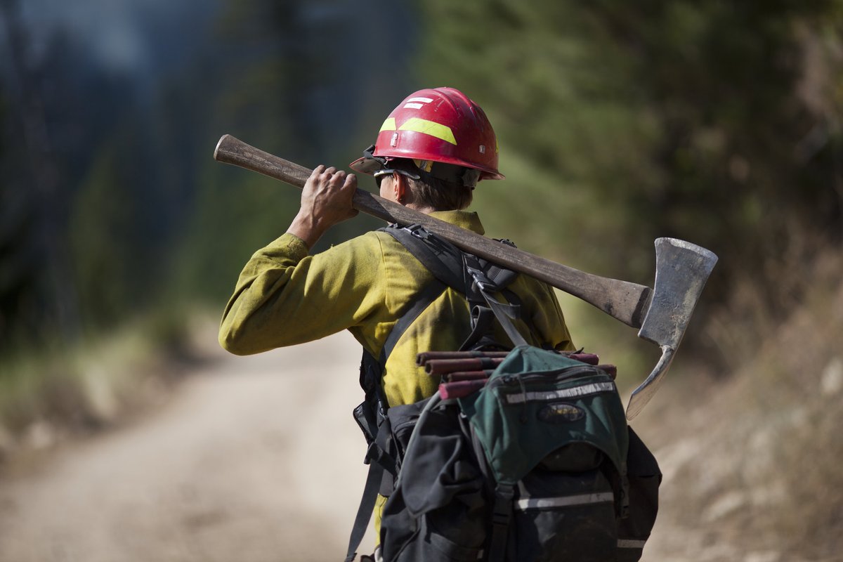 StateForesters's tweet image. 🔥 Fires are burning in Alaska and California
🌊 State forestry crews are helping to clean up from Texas floods
👩🔬 Researchers are making strides in new forestry tools
Catch up on the latest forestry headlines in NASF's weekly newsletter! mailchi.mp/stateforesters…