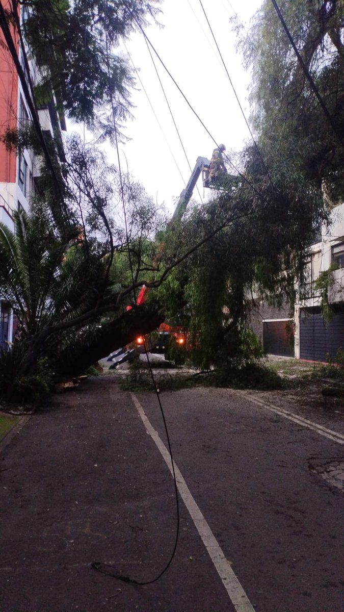 Secretaría de Gestión Integral de Riesgos y PC (@sgirpc_cdmx) on Twitter photo Equipos de emergencias laboraron en el seccionamiento de un árbol que cayó en Patricio Sanz, col. Acacias, <a href="/BJAlcaldia/">Alcaldía de Benito Juárez</a>. Se tuvo afectación en el cableado de eléctrico, telefónico y de fibra óptica. No hubo lesionados. #LaPrevenciónEsNuestraFuerza Equipos de emergencias laboraron en el seccionamiento de un árbol que cayó en Patricio Sanz, col. Acacias, <a href="/BJAlcaldia/">Alcaldía de Benito Juárez</a>. Se tuvo afectación en el cableado de eléctrico, telefónico y de fibra óptica. No hubo lesionados. #LaPrevenciónEsNuestraFuerza