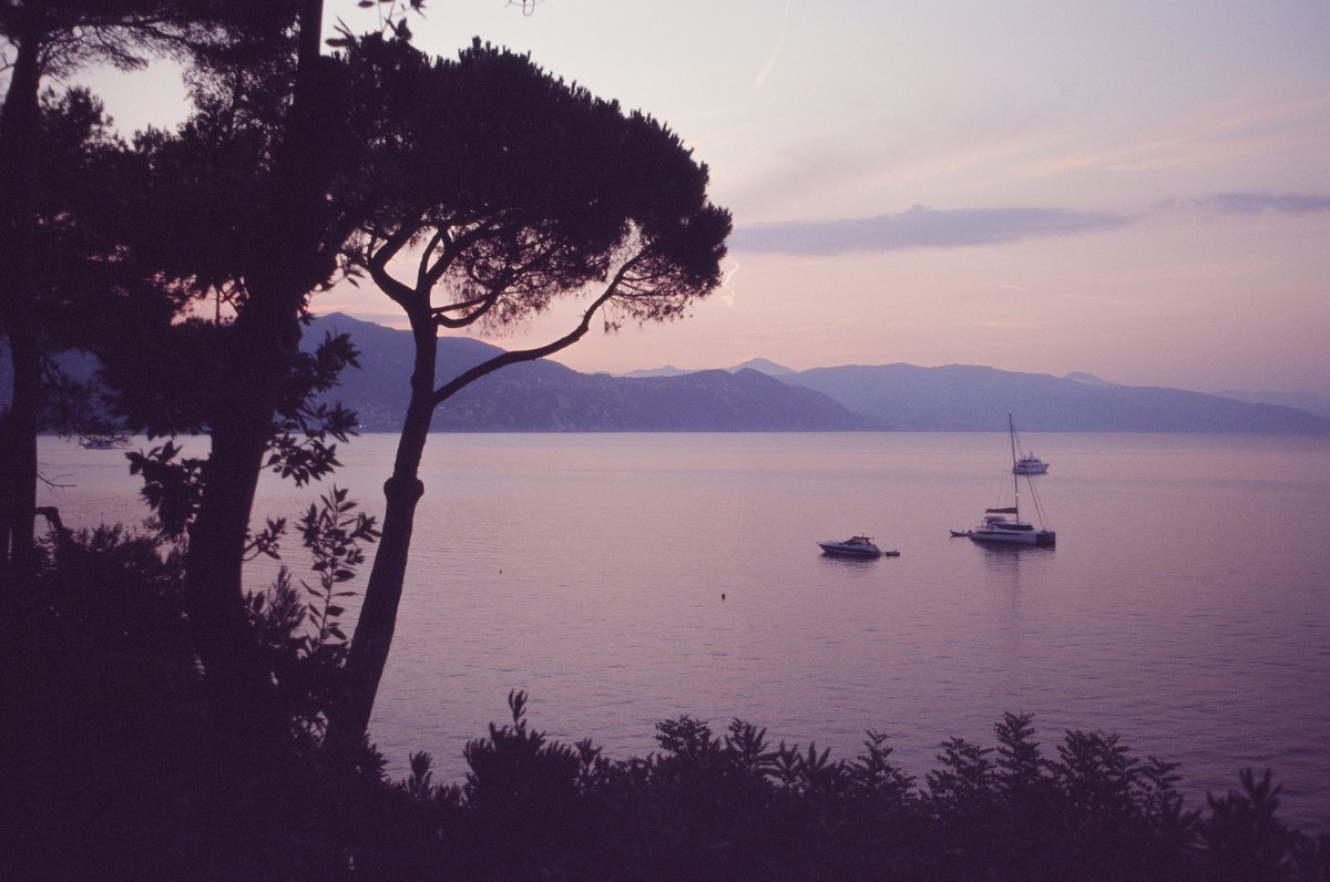 alexkibb_'s tweet image. Life in Italy - on Kodak E100