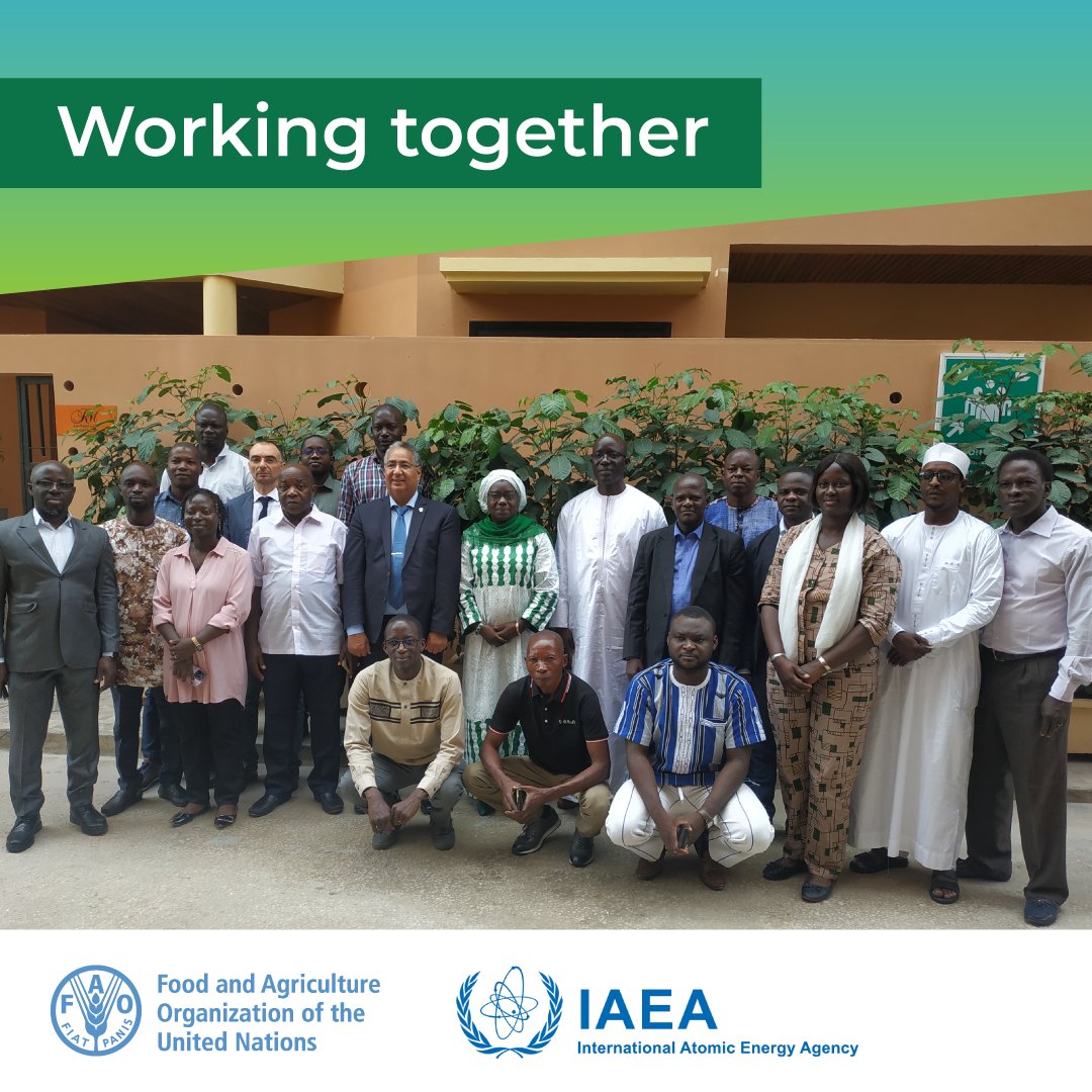FAO Livestock (@faolivestock) on Twitter photo IAEA and <a href="/FAO/">Food and Agriculture Organization</a> train 16 officials from 7 African countries on data management and mapping of #tsetse flies and animal #trypanosomosis
🌐 IAEA & Tsetse flies: bit.ly/4lyVx4u
🌐 FAO & Trypanosomosis: fao.org/paat
🌐Project DIMCAT: bit.ly/4nBA4to IAEA and <a href="/FAO/">Food and Agriculture Organization</a> train 16 officials from 7 African countries on data management and mapping of #tsetse flies and animal #trypanosomosis
🌐 IAEA & Tsetse flies: bit.ly/4lyVx4u
🌐 FAO & Trypanosomosis: fao.org/paat
🌐Project DIMCAT: bit.ly/4nBA4to