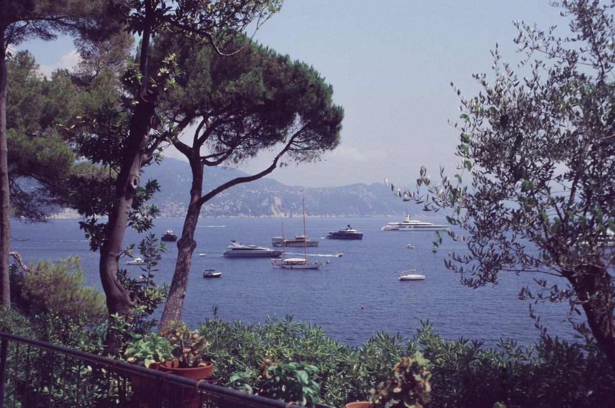 alexkibb_'s tweet image. Life in Italy - on Kodak E100