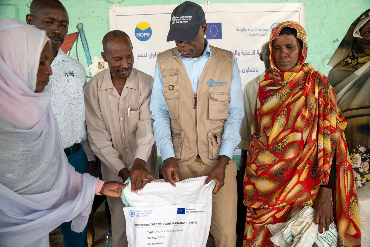 FAOSudan's tweet image. With the generous support of @EU_SUDAN, @UNCERF and @SwissMFA, @FAO has launched its seed distribution campaign in White Nile, targeting over 121 000 HHs—609 000 people.
990 MT of sorghum, millet, sesame and pigeon pea to be distributed across 9 localities.
#EverySeedCounts