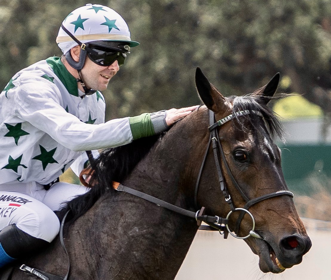 Arizkorreta Racing (@arizkorretar) on Twitter photo 🏇 Martes 15, 18 horas en <a href="/HippodromeVichy/">Hippodrome de Vichy</a>
411. SOUVENIR D’ECAJEUL (<a href="/JanacekVaclav/">Vaclav Janacek</a>)
#CuadradeArizkorreta #YeguadaRocío 🏇 Martes 15, 18 horas en <a href="/HippodromeVichy/">Hippodrome de Vichy</a>
411. SOUVENIR D’ECAJEUL (<a href="/JanacekVaclav/">Vaclav Janacek</a>)
#CuadradeArizkorreta #YeguadaRocío