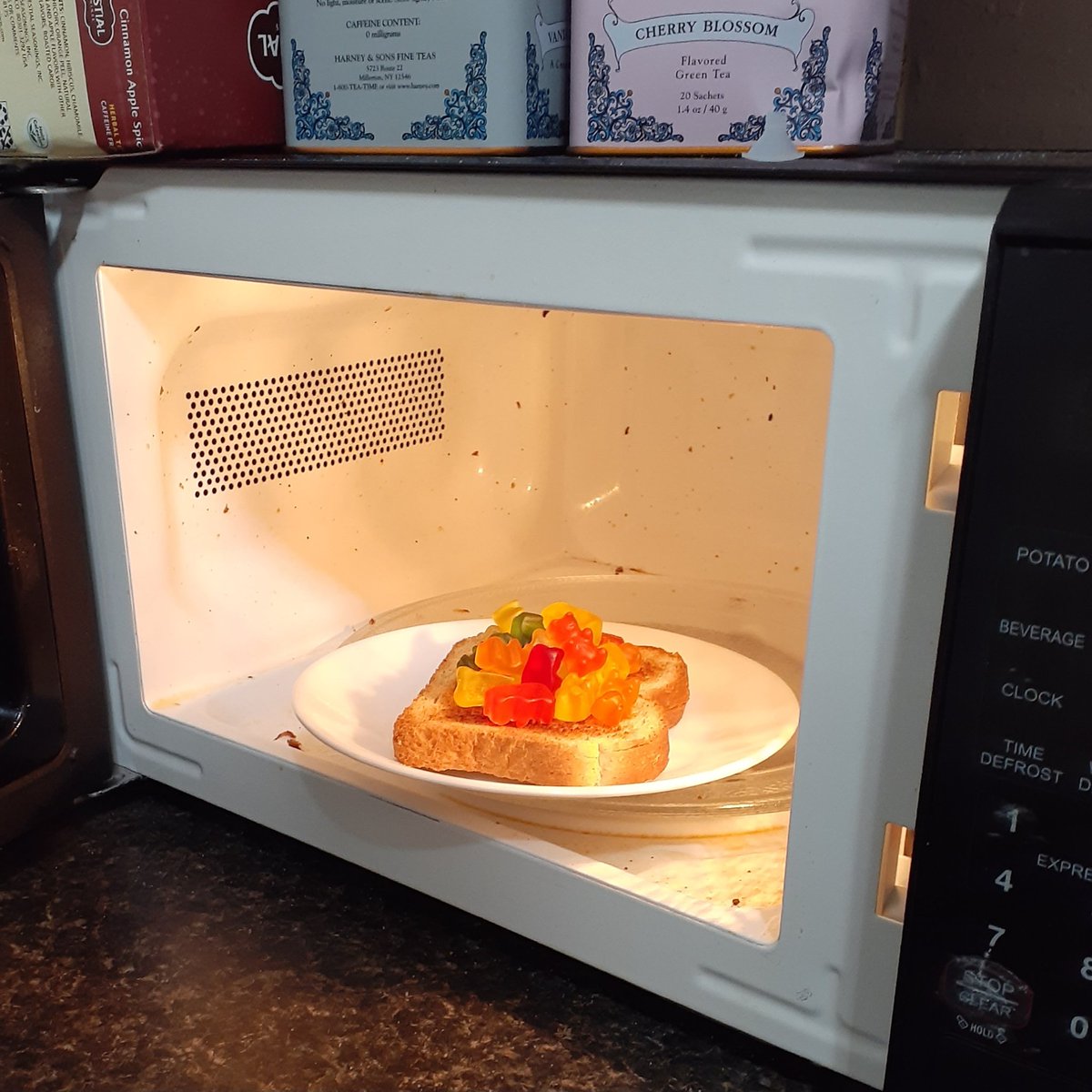MicroVerax's tweet image. Have a gummy bear sandwich and think about things.