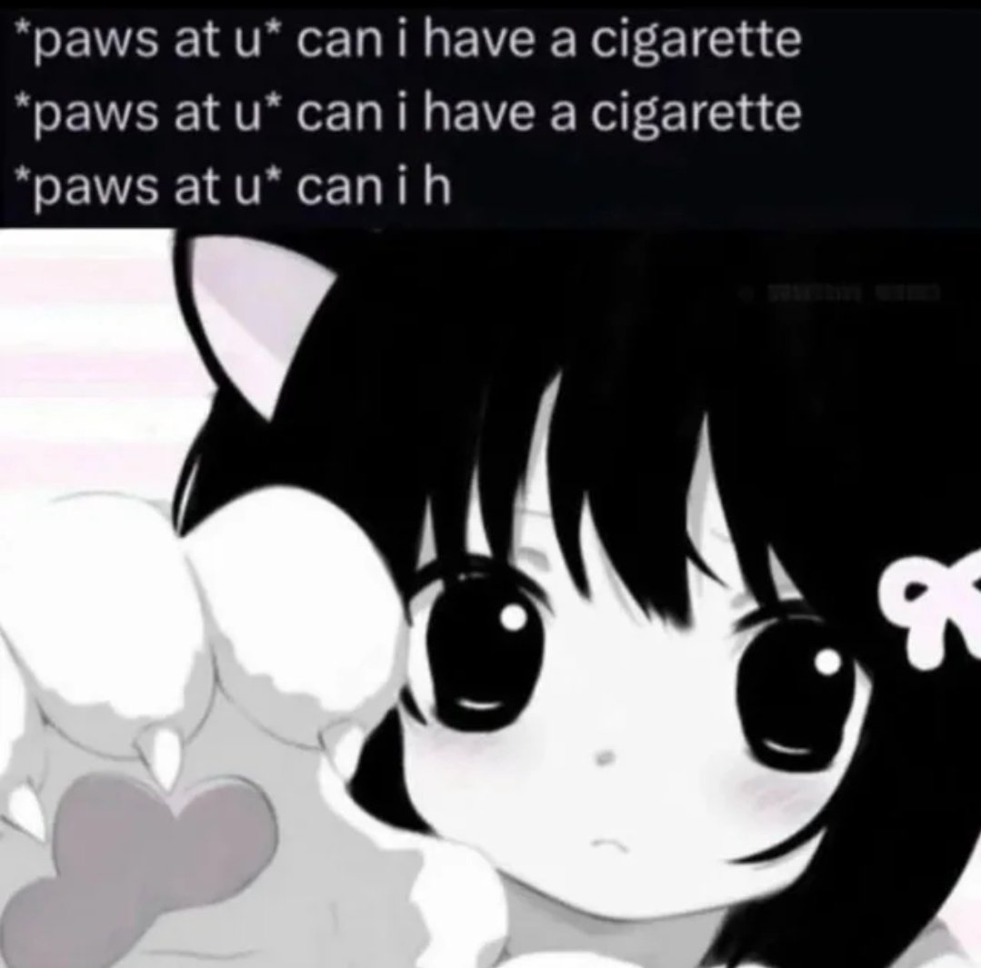 LetGirlzHaveFun's tweet image. from u/OMGkawaiiAngel-xo