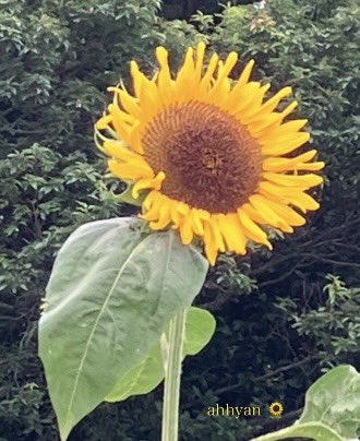 皆さま
おはようございます😊
本日も宜しくお願い致します🌻
ご安全な一日をお過ごし下さいませ🍀
