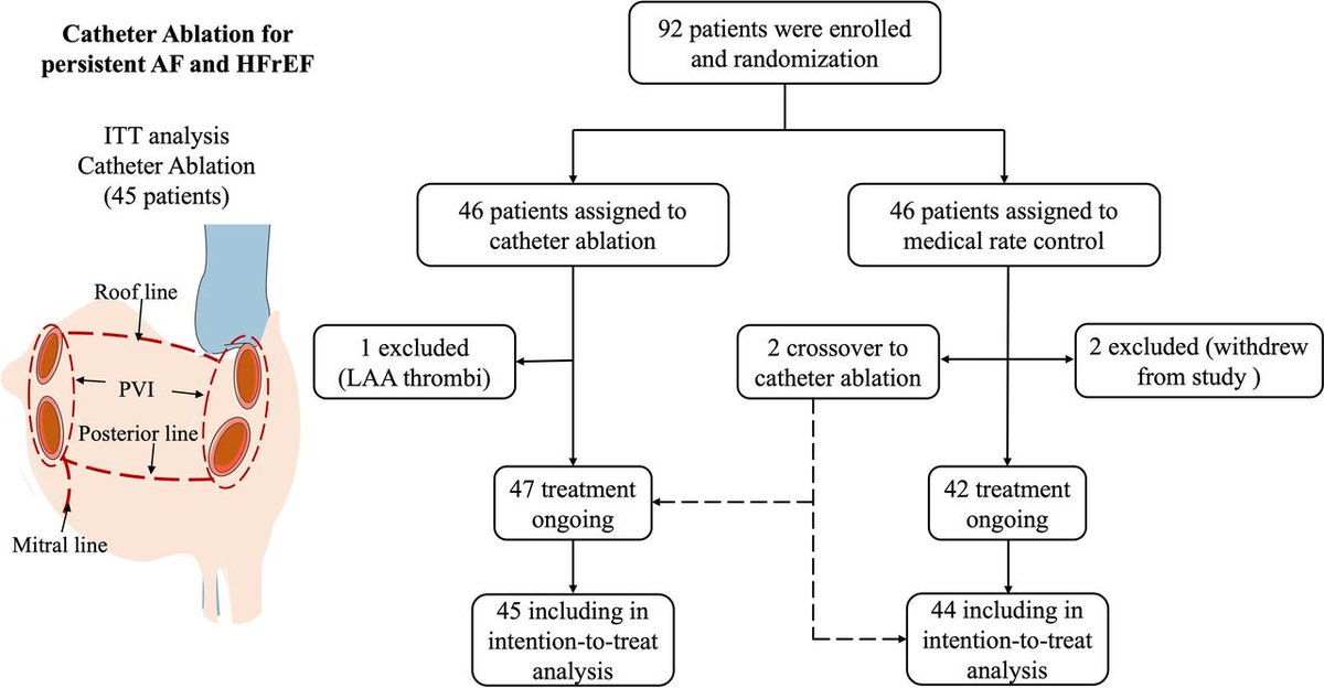 Catheter ablation versus medical rate control for persistent atrial fibrillation in older heart failure patients with reduced ejection fraction bit.ly/3G9U8T4