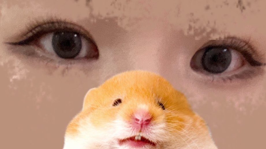 gimpaprika's tweet image. #코덕트친소
#코덕_트친소
이전 트친소가 서치밴걸렸더라구요
어쩐지.. 외로웠다구😩
가을뮤트23호 코덕
누드톤 춘장립 러버
초록색파란색 등등 잼메템들도 아주아주 좋아합니다
퍼스널컬러 노상관 화얘 하고싶은 코덕이에요
흔적남겨주시면 찾아갈게요🧚✨
많관부❤️🙇♀️
