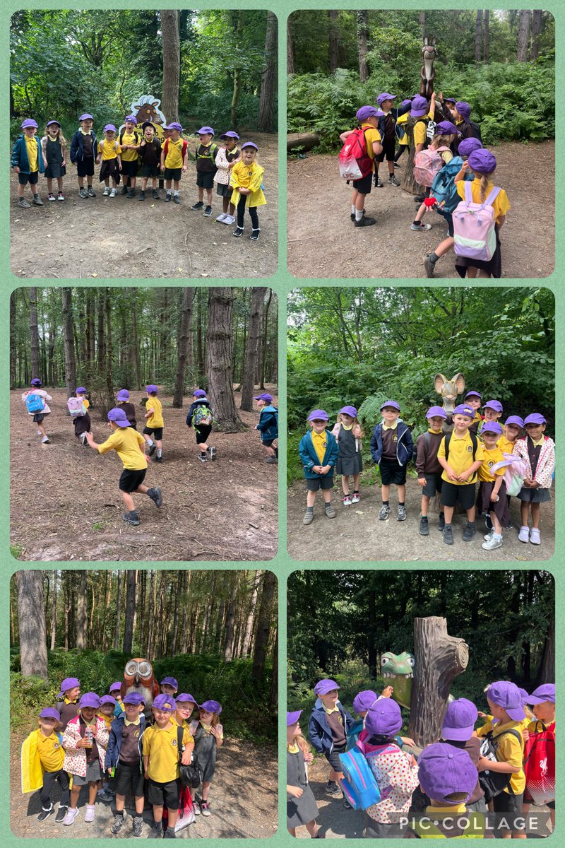 stwinsholywell's tweet image. Dosbarth Glas had a brilliant time at Delamere Forest today completing the Gruffalo orienteering course! Children followed the directions on the map to look for the Gruffalo and his friends! @ForestryEngland 🦊🐭🦉🐍🍃🪵🌳
