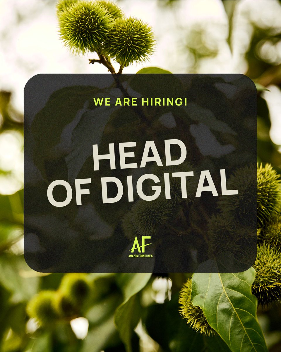 🌿We’re hiring!
Role- Head of Digital, 🌎 Remote (preferably based in Ecuador).
 💡 We’re seeking a creative leader with 10+ years of experience in digital strategy, content, and engagement to expand our global reach. 
🗓 Deadline to apply: 1 August 2025 🔗amazonfrontlines.org/jobs/head-of-d…