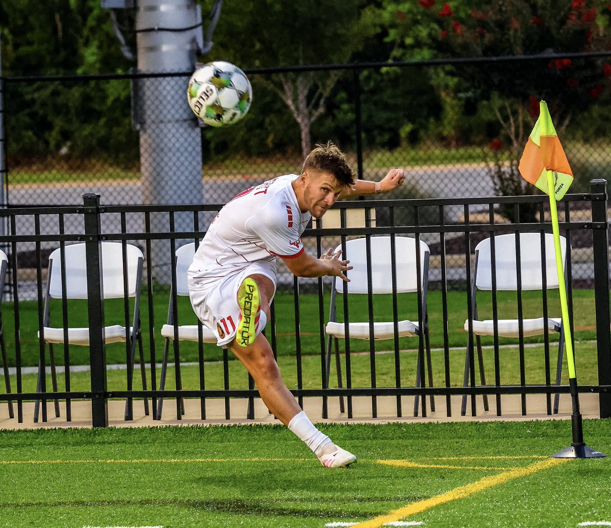 Matthew Everitt tweet media