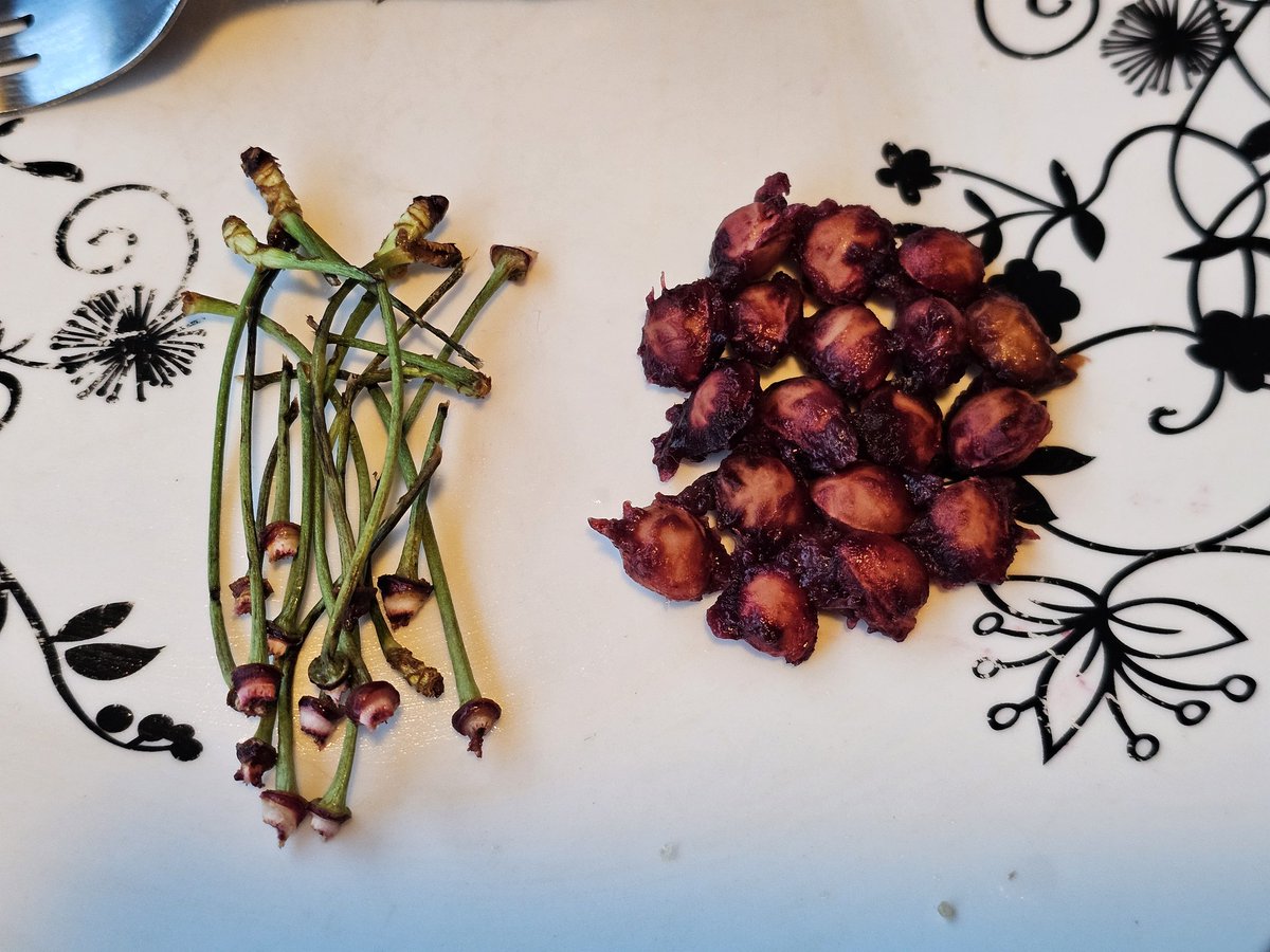 DamDamLive tweet media