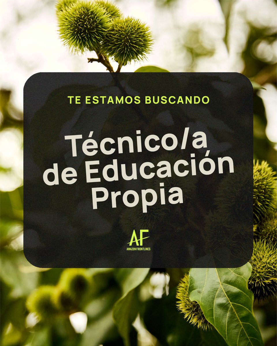 ¡Estamos contratando!
🫒Técnico/a de Educación Propia
📍 Presencial – Lago Agrio, Ecuador
💡 Para acompañar procesos educativos comunitarios con los pueblos Siekopai, A’i Kofán y Waorani. 🔗amazonfrontlines.org/es/jobs/tecnic…
🗓 Fecha límite: 1 de Agosto