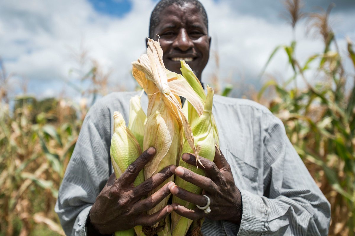 Over 90 countries mandate #fortification of cereal grains as a public health measure.
Large-scale food fortification is a proven, safe way to combat malnutrition by adding essential nutrients to the staple foods people already consume. 💪

Learn more: buff.ly/6sA6fIT