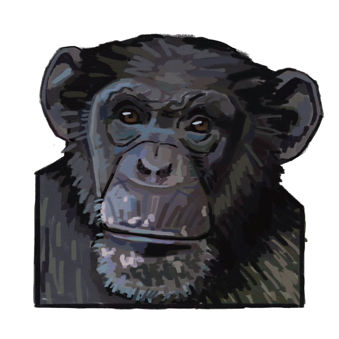 meatybug's tweet image. happy world chimpanzee day!!!!!