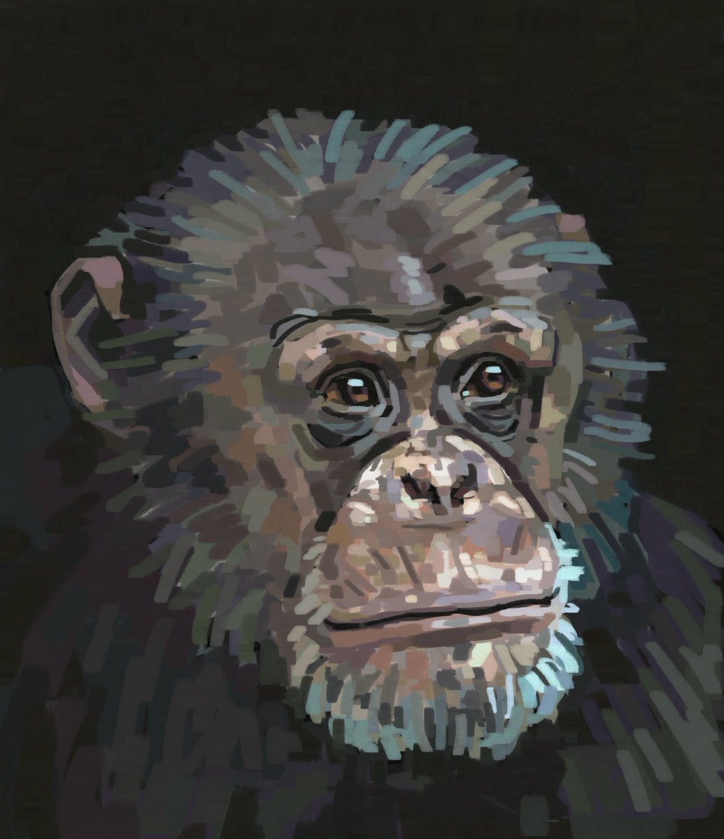 meatybug's tweet image. happy world chimpanzee day!!!!!