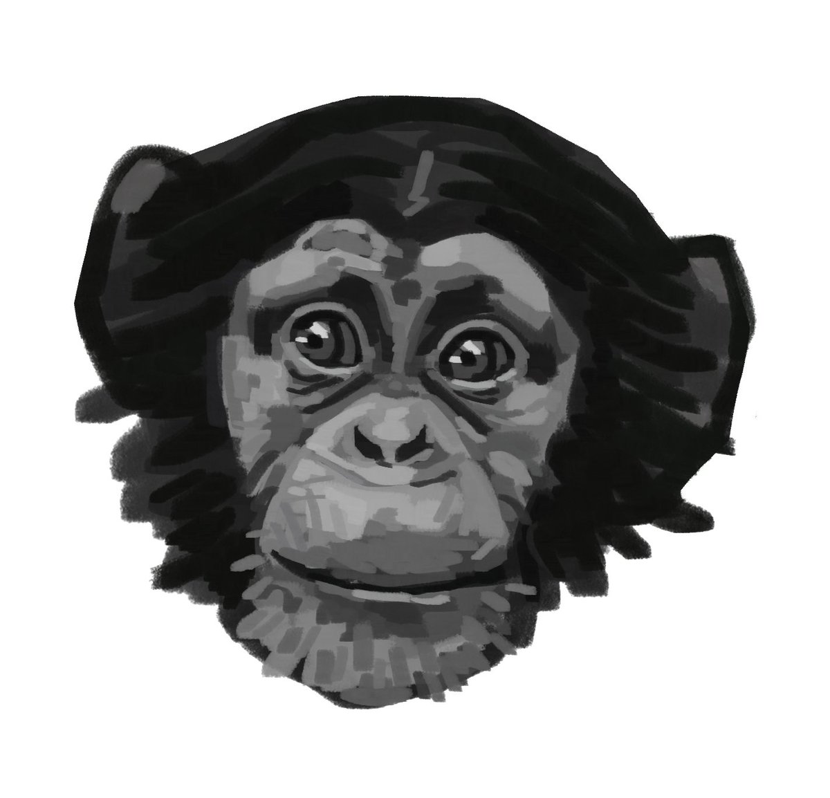 meatybug's tweet image. happy world chimpanzee day!!!!!