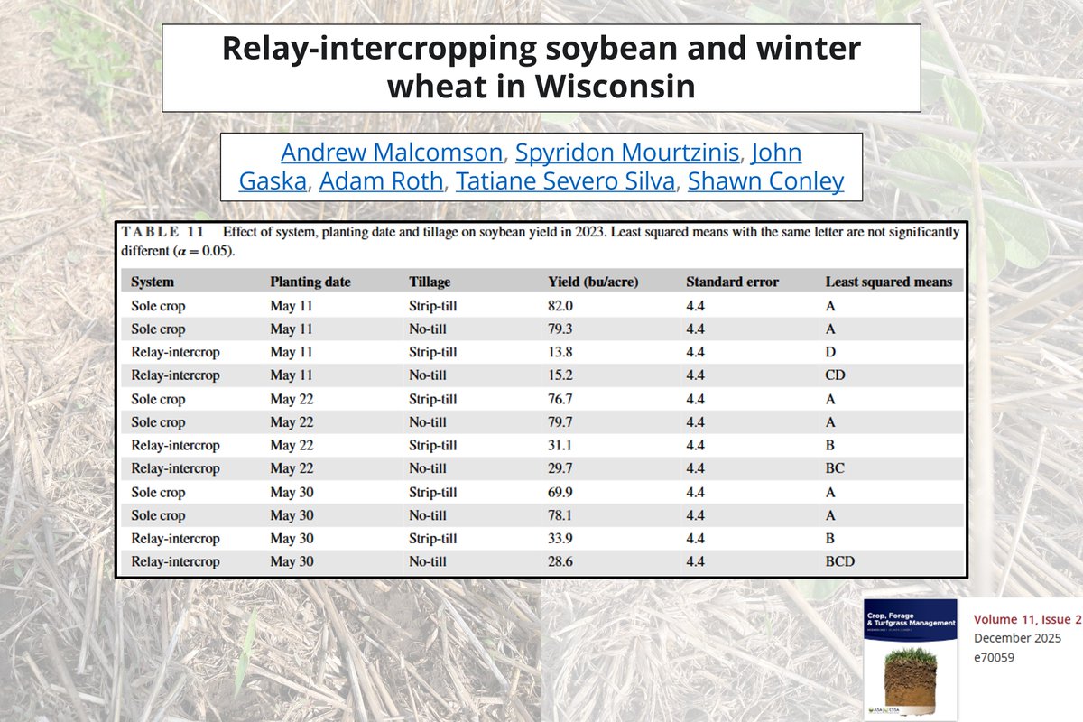 🌾🌱 Relay-intercropping winter wheat &amp; soybean in WI:
• Later-planted soybeans yielded more ✅
• Strip-till boosted soybean yield but reduced wheat yield ⚖️
• Sole crop soybean was most profitable 💵
More in CFTM: doi.org/10.1002/cft2.7…
